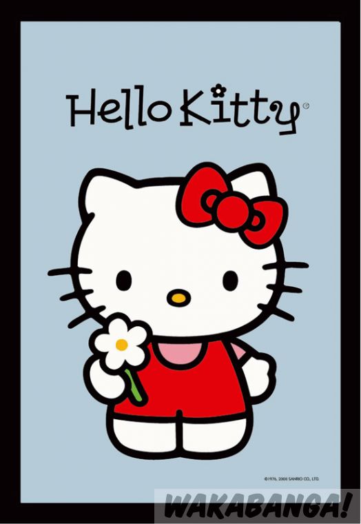 nacimiento cortador Restricción Espejo serigrafiado en color de Hello Kitty con una flor. RymanRyman